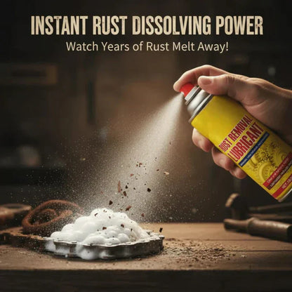 Rust Remover Spray for Car & Bike (Pack of 2)| Multi-Purpose Rust Cleaner Spray for Metal Surfaces | Instant Rust-Off & Protect Formula
